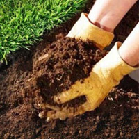Vermi Compost