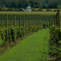 Agriculture & Horticulture